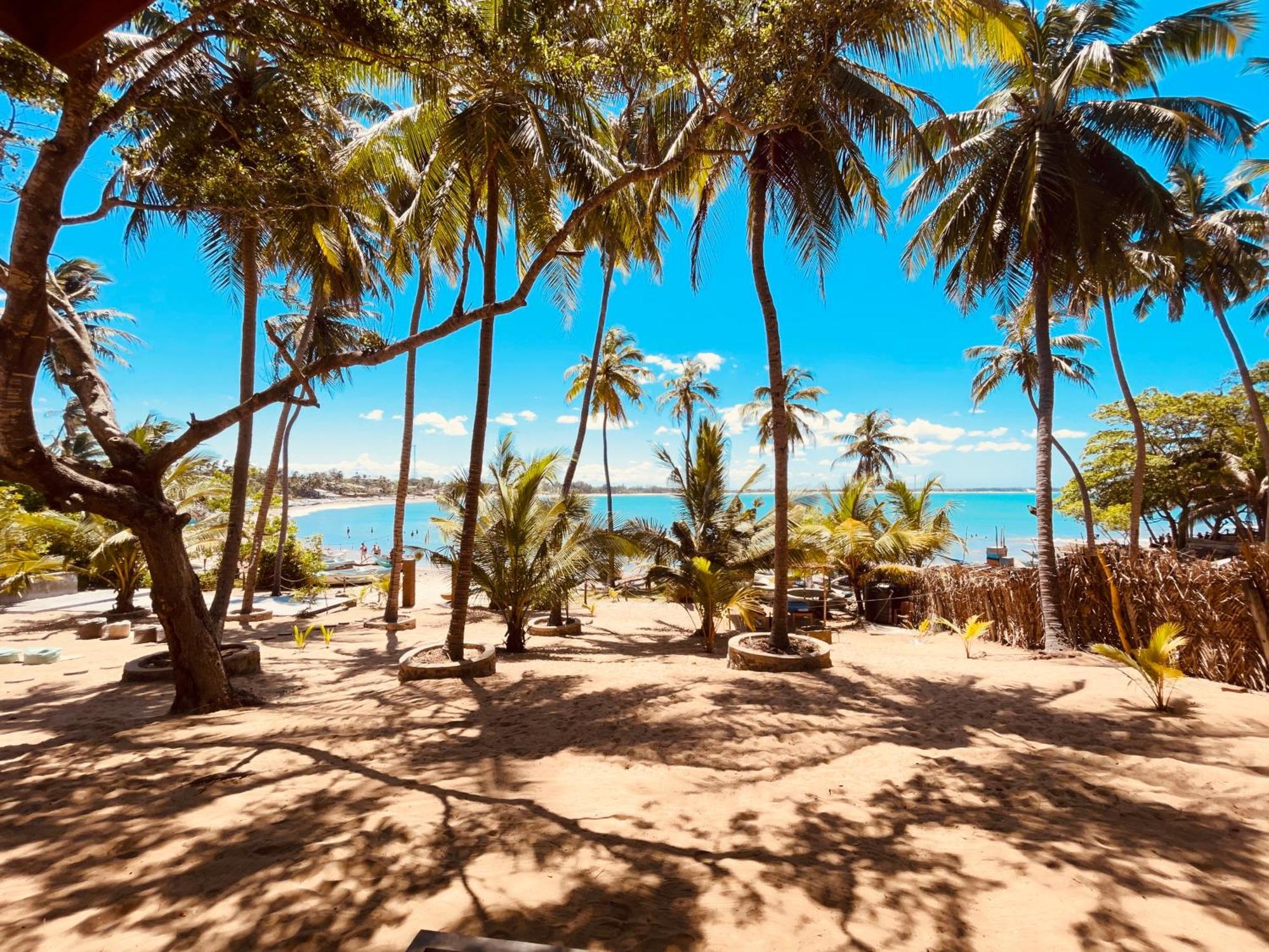 Coconut Hill Arugam Bayホステル エクステリア 写真