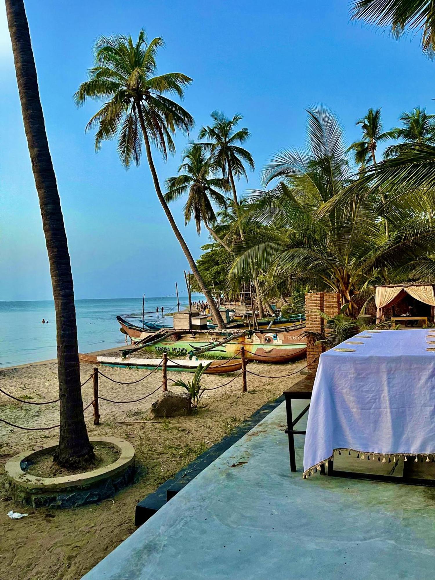 Coconut Hill Arugam Bayホステル エクステリア 写真